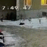 Толпа подростков избила 8-летнего мальчика - Газета Новый Качканар